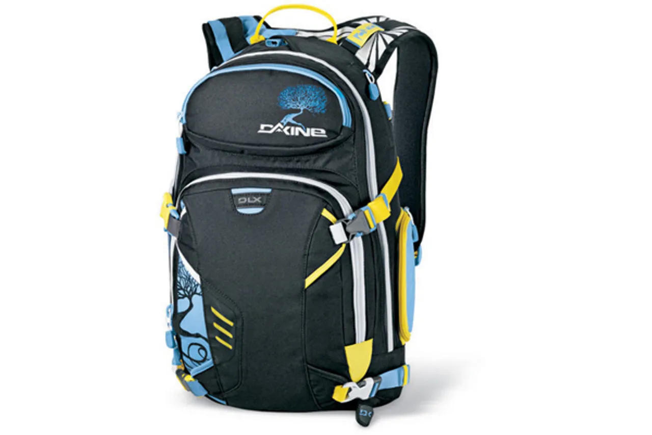 Dakine Team Heli Pro DLX 20L-Pollard Backpack