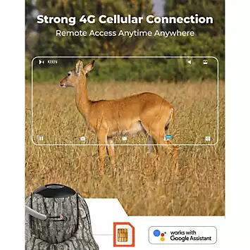 Reolink Keen 4G LTE 4MP Super HD Pan&Tilt Wireless Trail Camera with 64GB SD Card | Kaleidoscope