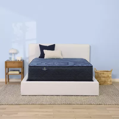 Serta Perfect Sleeper Euphoric Nights 14" Hybrid Firm - Mattress Only